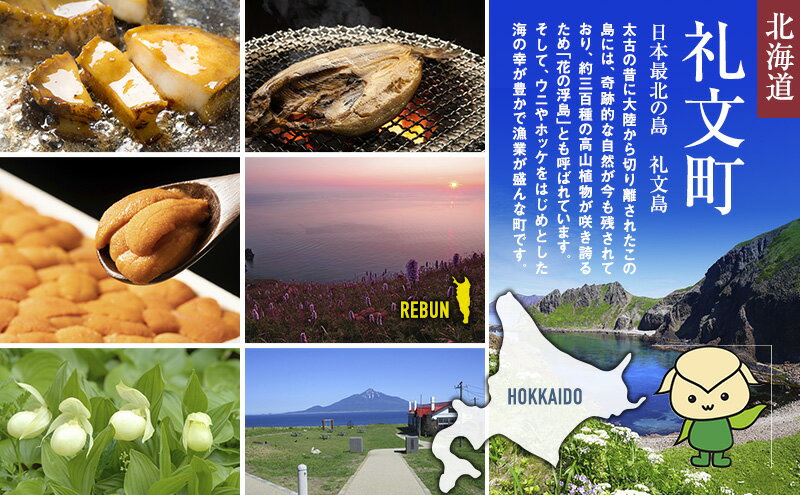 【ふるさと納税】北海道礼文島産根昆布使用　根昆布だし500ml×6本 こんぶ コンブ 出汁 調味料 スープ うどん そば 汁 サムネイル3