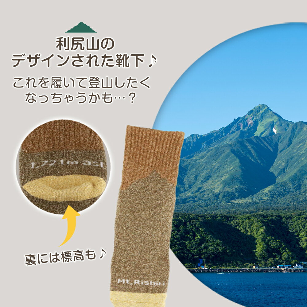 【ふるさと納税】☆利尻山デザイン☆メンズ用靴下1足(ブラウン)北海道ふるさと納税 利尻富士町 ふるさと納税 北海道 靴下 ソックス メンズ ショートソックス 吸汗 速乾性 抗菌 防臭 利尻山 サムネイル2