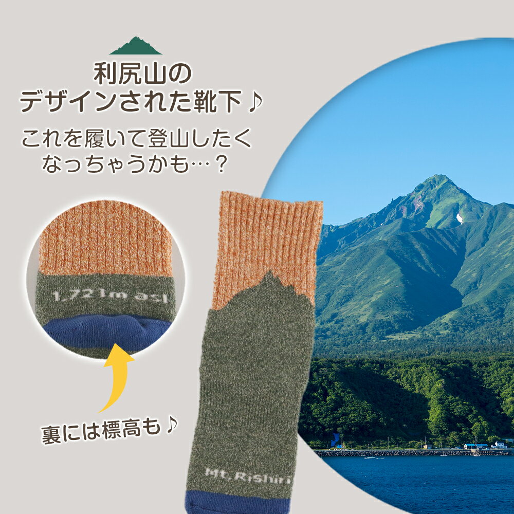 【ふるさと納税】☆利尻山デザイン☆レディース用靴下1足(オレンジ)北海道ふるさと納税 利尻富士町 ふるさと納税 北海道 靴下 ソックス レディース ショートソックス 吸汗 速乾性 抗菌 防臭 利尻山 サムネイル2