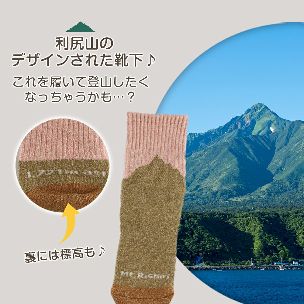 【ふるさと納税】☆利尻山デザイン☆レディース用靴下1足(ピンク)北海道ふるさと納税 利尻富士町 ふるさと納税 北海道 靴下 ソックス レディース ショートソックス 吸汗 速乾性 抗菌 防臭 利尻山 サムネイル2
