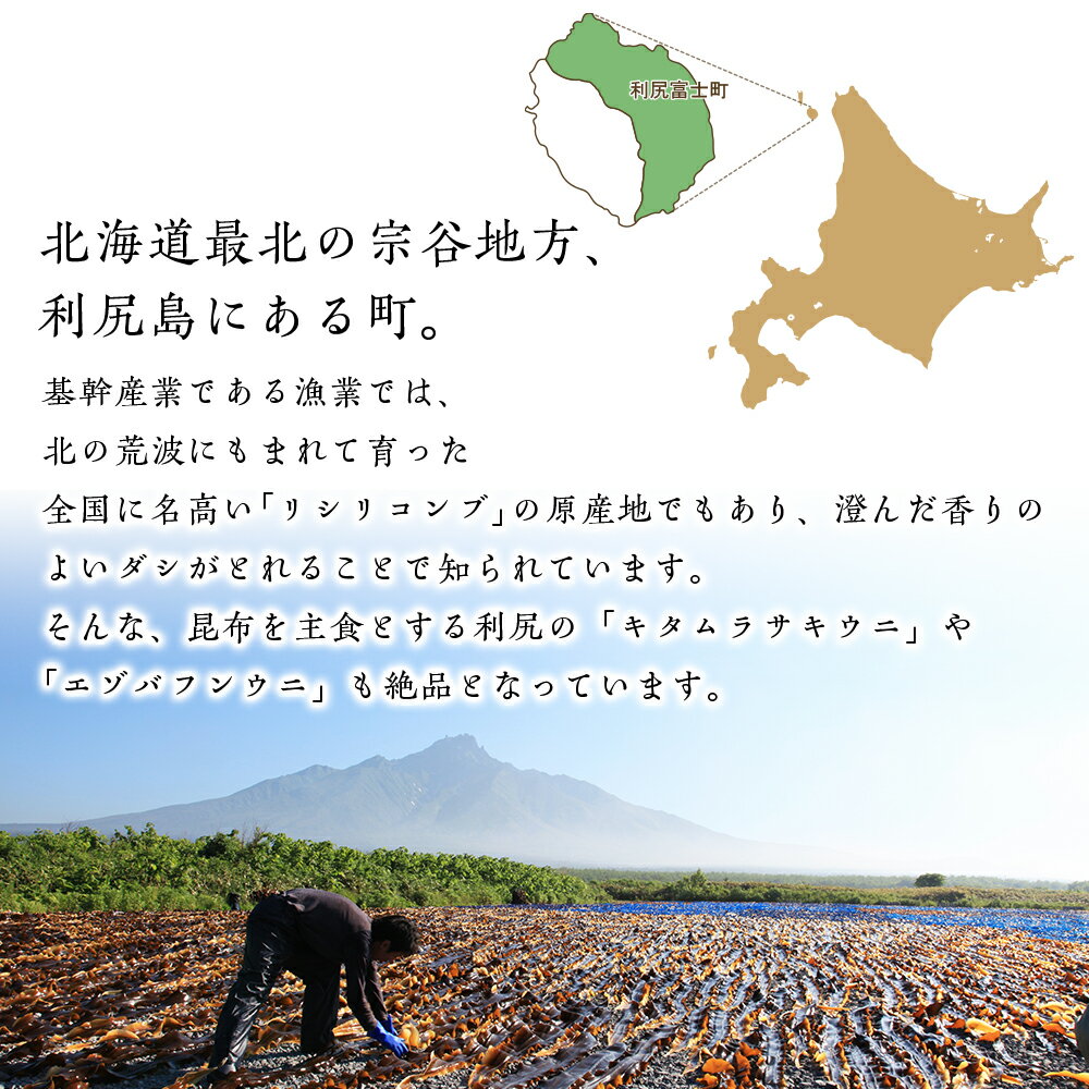 【ふるさと納税】北海道利尻富士町の対象施設で使える楽天トラベルクーポン 寄付額100,000円(クーポン30,000円分) 体験 - 画像2