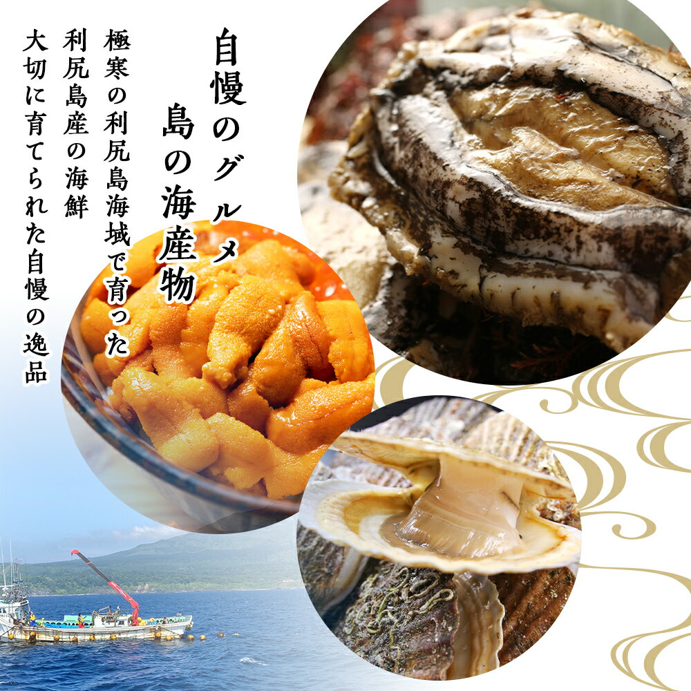 【ふるさと納税】北海道利尻富士町の対象施設で使える楽天トラベルクーポン 寄付額100,000円(クーポン30,000円分) 体験 - 画像3