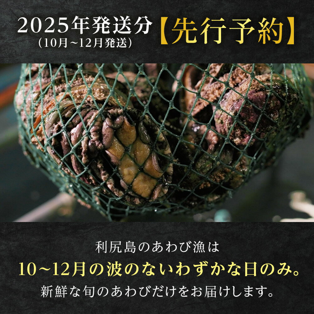 【ふるさと納税】☆選べる発送月☆あわび 北海道 利尻島産 直送！天然 生えぞあわび 選べる500g～1kg 鮑 海鮮 冷蔵 お刺身 魚介 お祝い【福士水産】北海道ふるさと納税 利尻富士町 ふるさと納税 北海道産アワビ 産地直送 美味しさに 訳あり 蝦夷あわび サムネイル2