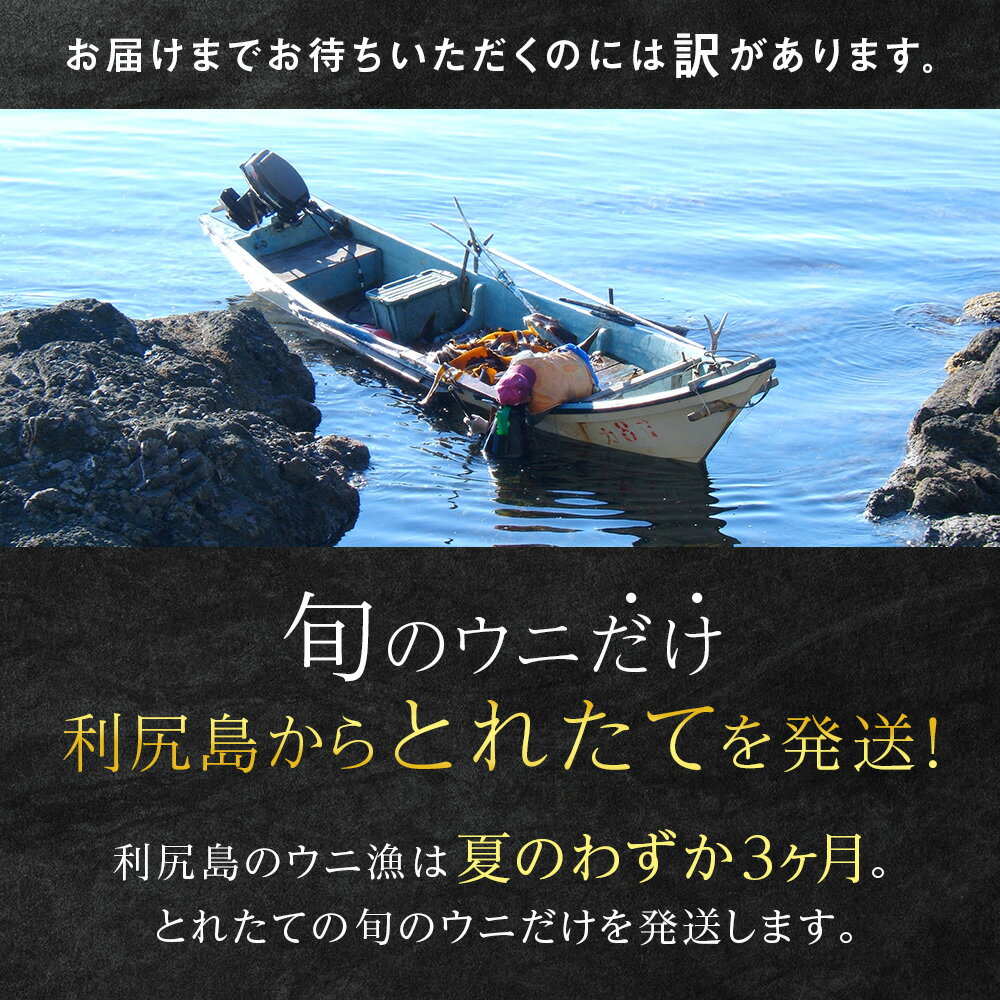 【ふるさと納税】【2026年発送予約】 ★直送 「利尻島産 塩水キタムラサキウニ」選べる100g〜200g 1パック100g《利尻漁業協同組合》北海道ふるさと納税 利尻富士町 ふるさと納税 北海道 海鮮 生うに 北海道 うに 雲丹 通販 ギフト ウニ 贈答品 贈り物 塩水生うに サムネイル2