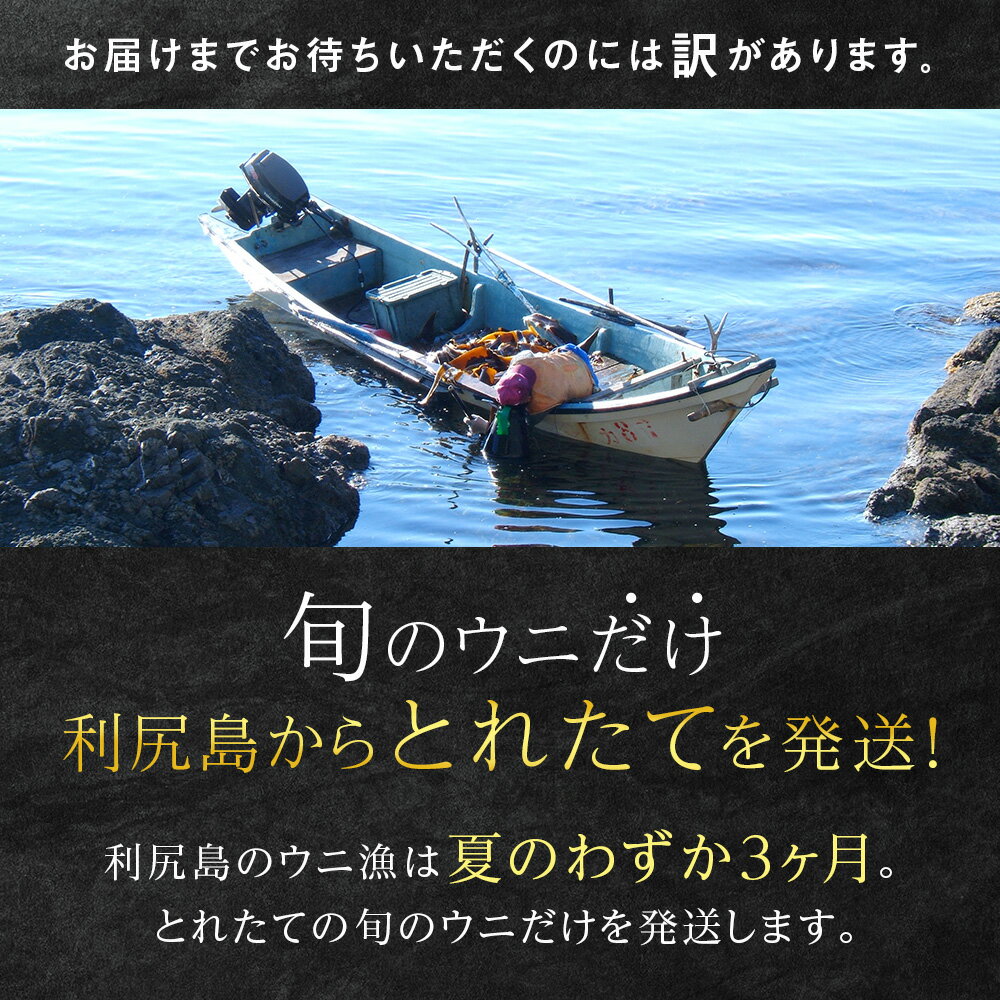 【ふるさと納税】 【2026年発送予約】 ★直送 「利尻島産 塩水エゾバフンウニ」選べる100g〜200g 1パック100g 《利尻漁業協同組合》北海道ふるさと納税 利尻富士町 北海道 海鮮 北海道 海鮮 うに 生うに 北海道 うに 雲丹 通販 ギフト ウニ 贈答品 贈り物 塩水生うに - 画像2