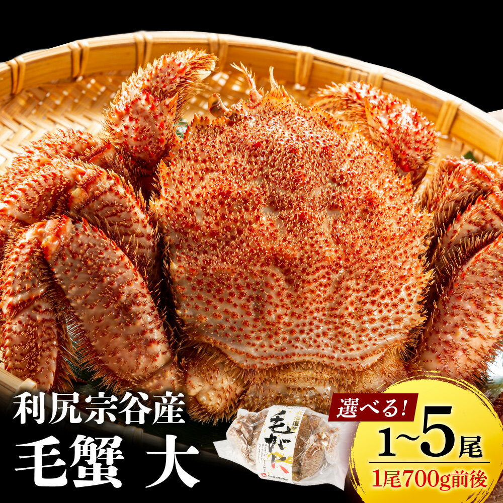 ☆選べる発送時期☆ 北海道 利尻島産 毛ガニ 大サイズ （700g前後）選べる1尾〜5尾＜利尻漁業協同組合＞北海道ふるさと納税 利尻富士町 ふるさと納税 北海道 海鮮 北海道 カニ 蟹 毛ガニ 毛蟹 蟹みそ 濃厚 蟹棒 甲羅