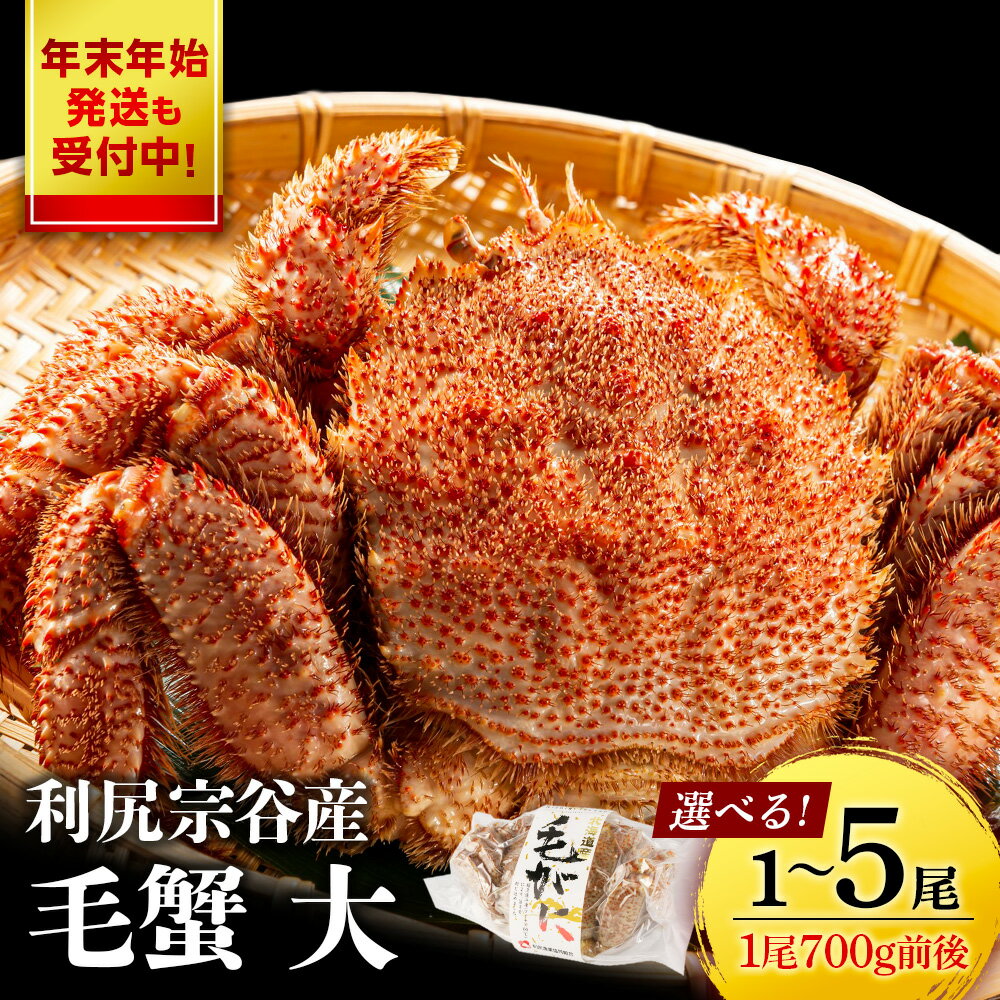 ☆選べる発送時期☆ 北海道 利尻島産 毛ガニ 大サイズ （700g前後）選べる1尾〜5尾＜利尻漁業協同組合＞北海道ふるさと納税 利尻富士町 ふるさと納税 北海道 海鮮 北海道 カニ 蟹 毛ガニ 毛蟹 蟹みそ 濃厚 蟹棒 蟹甲羅 12月発送 年末発送