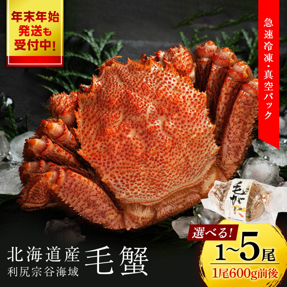 ☆選べる発送時期☆ 北海道 利尻・宗谷産 毛ガニ 中サイズ（600g前後）選べる1尾〜5尾 ＜利尻漁業協同組合＞北海道ふるさと納税 利尻富士町 ふるさと納税 北海道 海鮮 北海道 カニ 蟹 毛ガニ 毛蟹 蟹みそ 濃厚 蟹棒 12月発送　年末発送