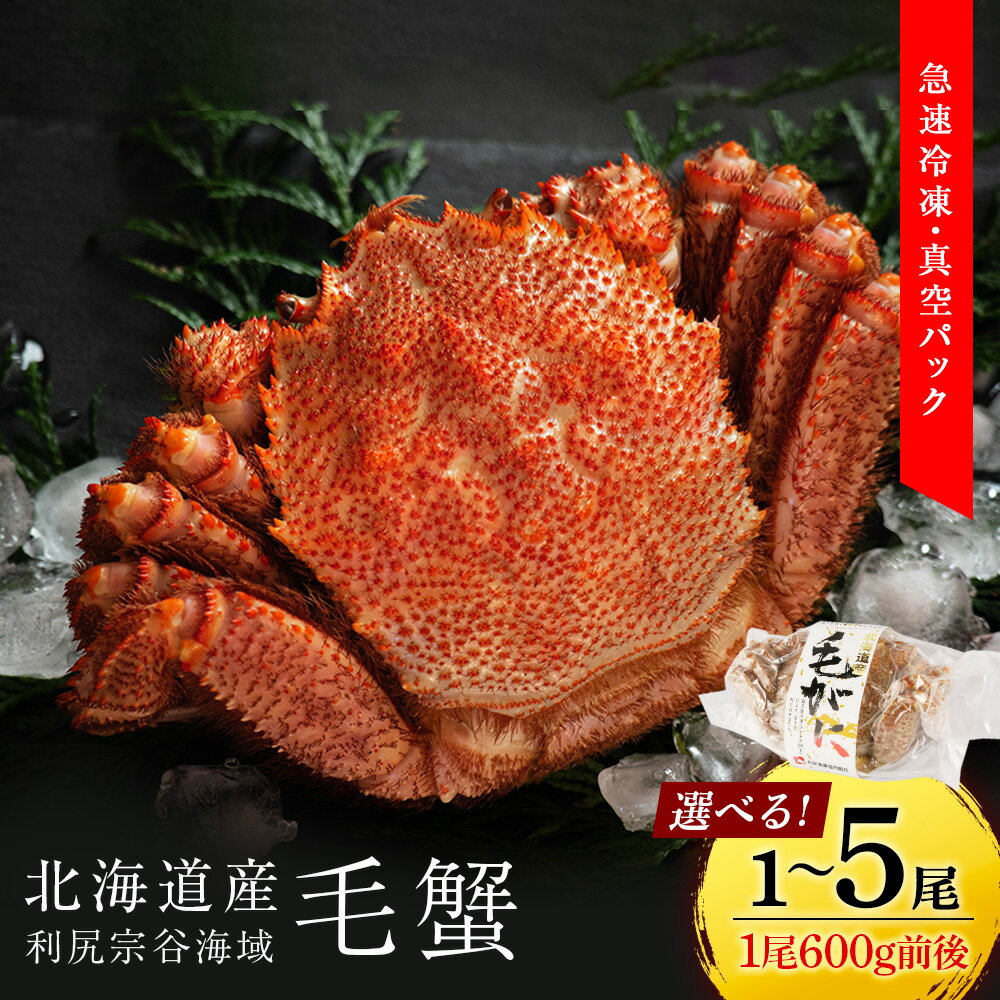 ☆選べる発送時期☆ 北海道 利尻・宗谷産 毛ガニ 中サイズ（600g前後）選べる1尾〜5尾 ＜利尻漁業協同組合＞北海道ふるさと納税 利尻富士町 ふるさと納税 北海道 海鮮 北海道 カニ 蟹 毛ガニ 毛蟹 蟹みそ 濃厚 蟹棒