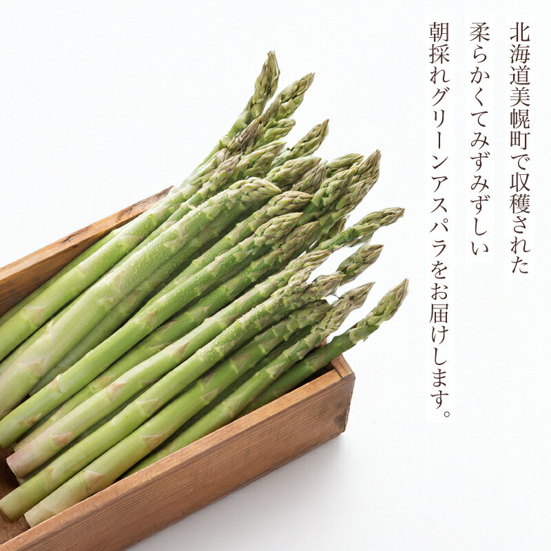 【ふるさと納税】 2026年産グリーンアスパラ (春芽) 選べる L~3L 1kg ランキング アスパラ アスパラガス グリーンアスパラ 朝どれ 新鮮 野菜 サラダ BBQ 北海道アスパラガス 北海道 美幌町 ふるさと納税 人気 おすすめ【配送不可地域：離島】 - 画像2