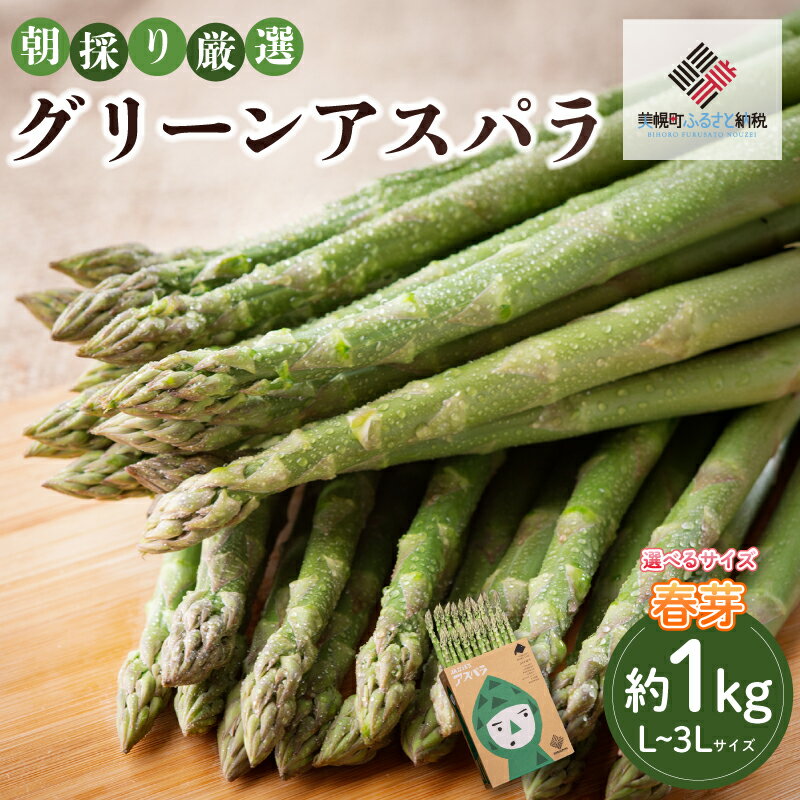 2026年産グリーンアスパラ (春芽) 選べる L~3L 1kg ランキング アスパラ アスパラガス グリーンアスパラ 朝どれ 新鮮 野菜 サラダ BBQ 北海道アスパラガス 北海道 美幌町 ふるさと納税 人気 おすすめ【配送不可地域：離島】