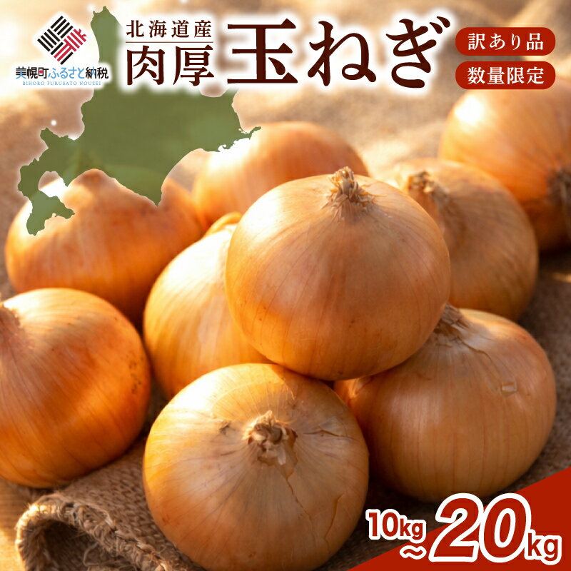 数量限定 訳あり 玉ねぎ 10~20kg 選べる 【R7年度産 Sサイズ 順次発送】 【 先行予約 R8年度産 Mサイズ 訳あり・Lサイズ／2026年10月上旬より順次発送】 人気 ランキング 玉ねぎ 国産 野菜 北海道 美幌町