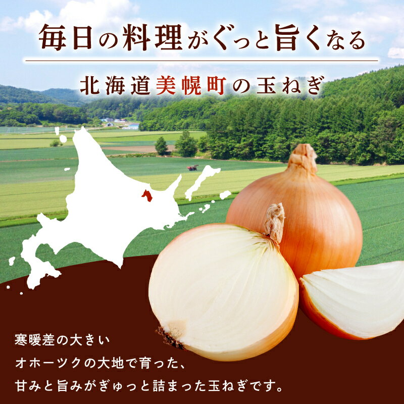 【ふるさと納税】 数量限定 訳あり 玉ねぎ 10~20kg 選べる 【R7年度産 Sサイズ 順次発送】 【 先行予約 R8年度産 Mサイズ 訳あり・Lサイズ／2026年10月上旬より順次発送】 人気 ランキング 玉ねぎ 国産 野菜 北海道 美幌町 - 画像2