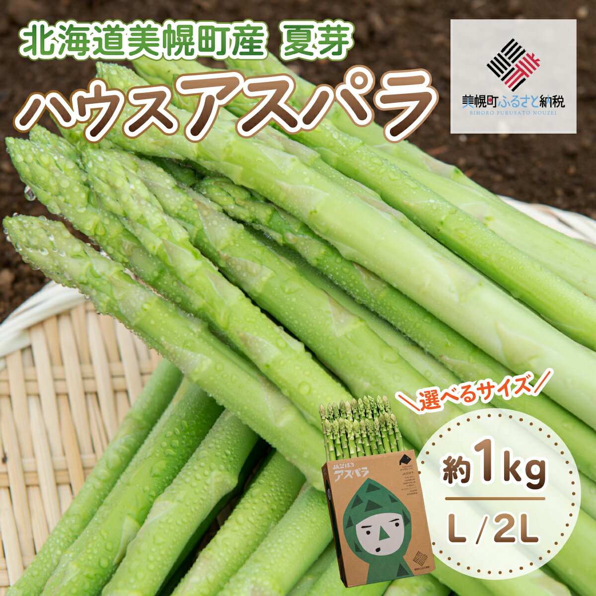【先行予約】2026年産 ハウスアスパラ(夏芽) 約1kg 選べる L / 2Lサイズ 【配送不可地域：離島】（2026年7月1日より順次発送）【 アスパラ アスパラガス ハウスアスパラ 野菜 健康 おかず 北海道 美幌町 送料無料 】