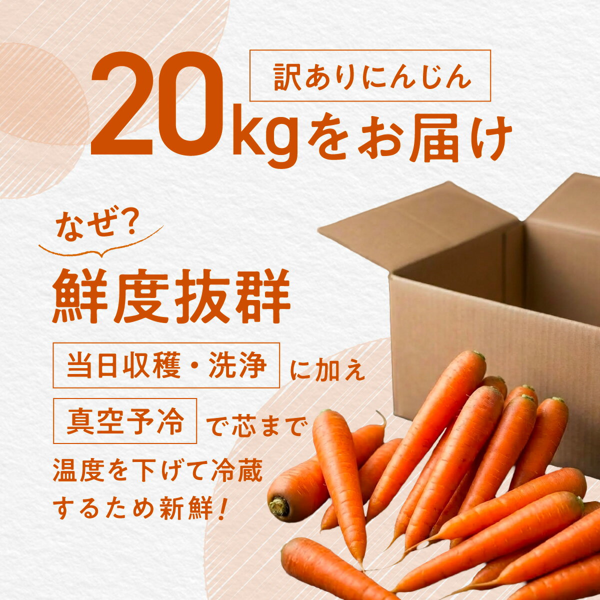 【ふるさと納税】【先行受付】にんじん（訳あり）20kg（2026年7月中旬より順次発送）【 ふるさと納税 人気 おすすめ ランキング にんじん ニンジン 人参 わけあり 訳あり 北海道 美幌町 送料無料 】 BHRG150 - 画像2