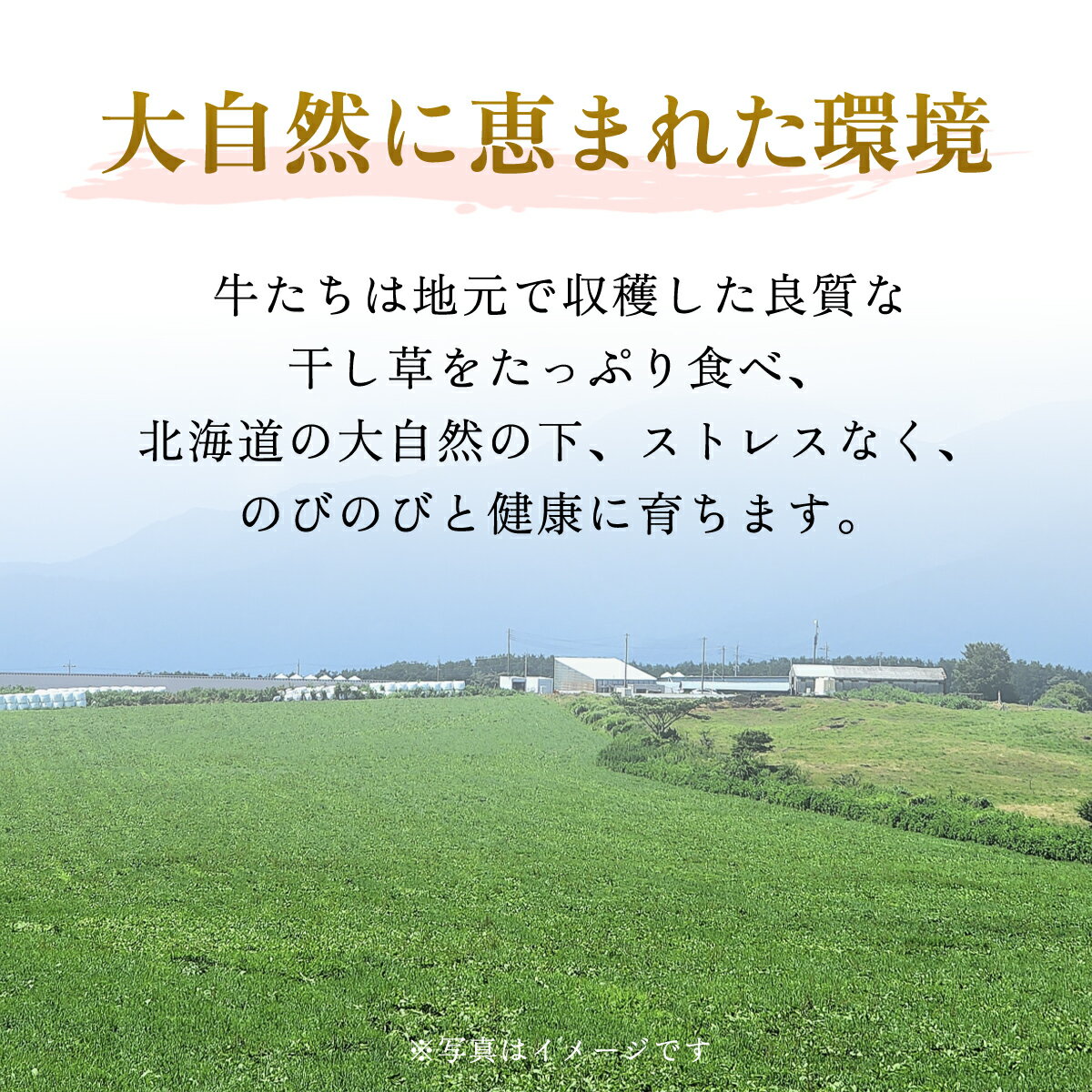 【ふるさと納税】【11月発送先行予約】【田村精肉店】北海道産ブランド牛の赤身 選べる600g ～ 2kg 【配送不可地域：離島】 牛肉 牛 スライス 切り落とし すき焼き しゃぶしゃぶ 北海道 美幌町 送料無料 BHRJ011 サムネイル3