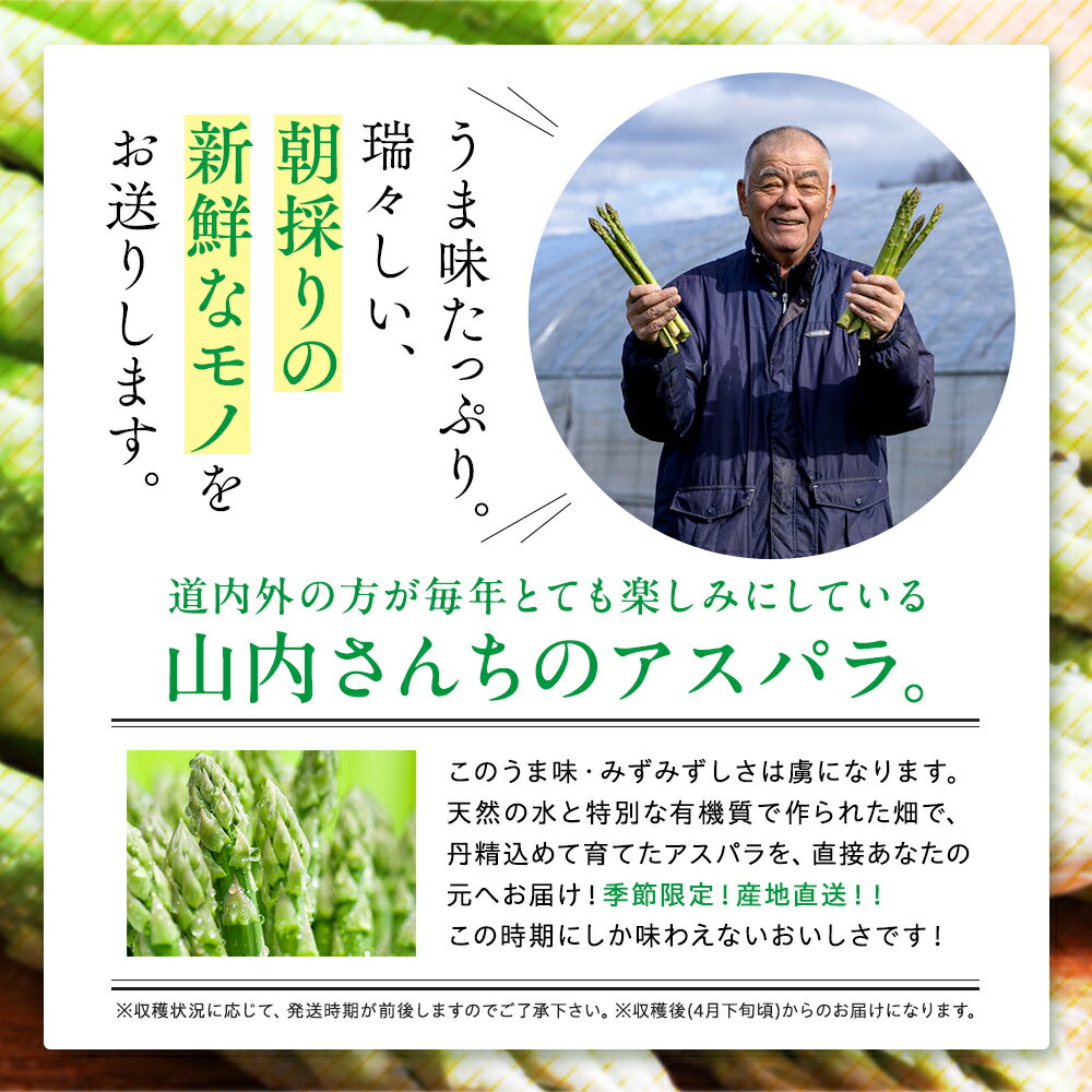 【ふるさと納税】令和8年産 アスパラガス 1〜2kg | グリーンアスパラ グリーンアスパラガス アスパラ 大容量 野菜 春野菜 朝採れ 新鮮 極太 国産 サラダ 天ぷら 炒め物 家庭用 数量限定 旬 特産 産地直送 北海道 津別町 送料無料 - 画像2