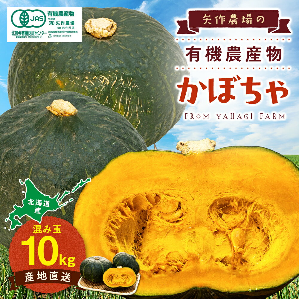 【先行受付】令和8年産 有機栽培かぼちゃ 10kg | かぼちゃ カボチャ 南瓜 大容量 パンプキン 甘い 有機栽培 国産 産地直送 北海道 津別町 送料無料