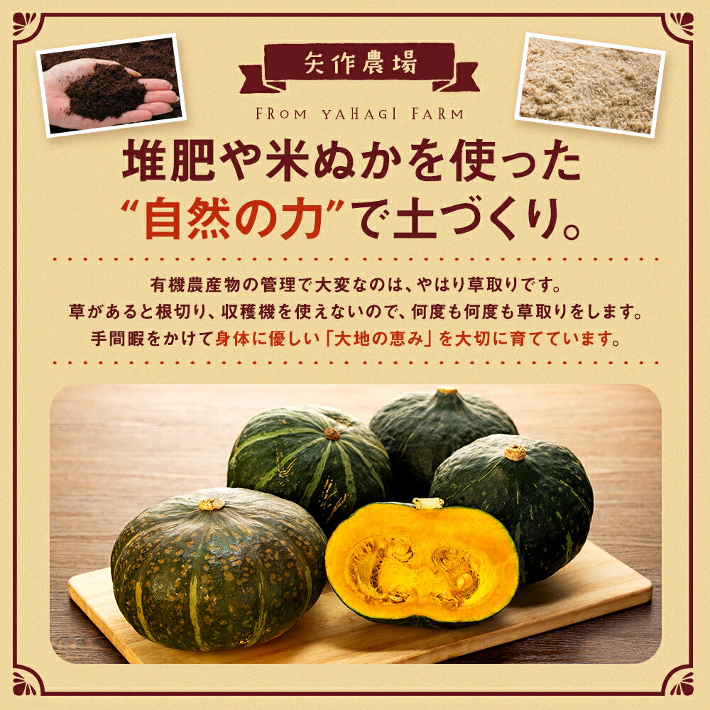 【ふるさと納税】【先行受付】令和8年産 有機栽培かぼちゃ 10kg | かぼちゃ カボチャ 南瓜 大容量 パンプキン 甘い 有機栽培 国産 産地直送 北海道 津別町 送料無料 - 画像2