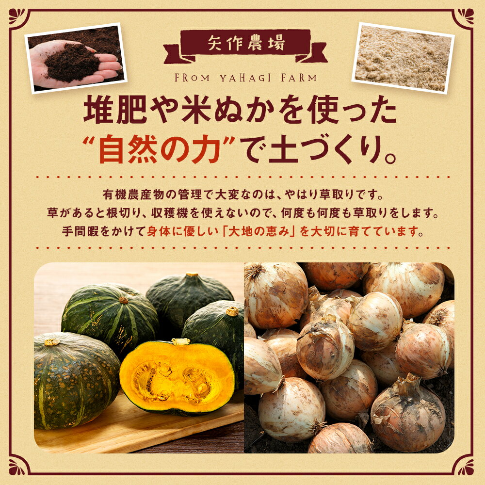 【ふるさと納税】令和8年産 有機栽培玉ねぎ・かぼちゃセット 合計20kg | たまねぎ タマネギ 玉葱 大容量 カボチャ 南瓜 大容量 パンプキン 甘い 有機栽培 国産 産地直送 北海道 津別町 送料無料 - 画像2
