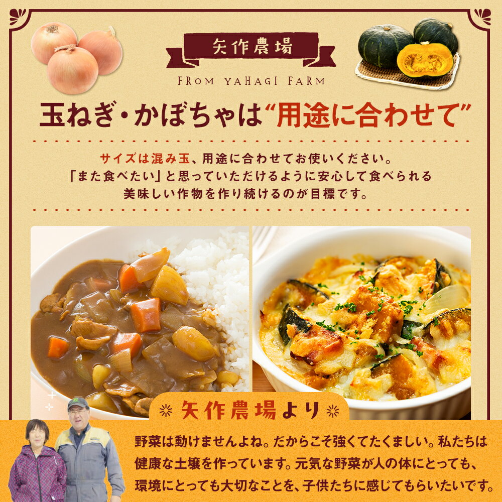 【ふるさと納税】令和8年産 有機栽培玉ねぎ・かぼちゃセット 合計20kg | たまねぎ タマネギ 玉葱 大容量 カボチャ 南瓜 大容量 パンプキン 甘い 有機栽培 国産 産地直送 北海道 津別町 送料無料 - 画像3