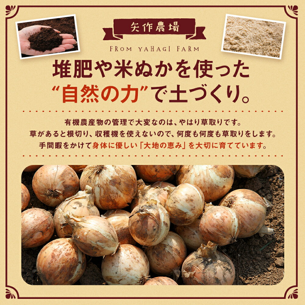 【ふるさと納税】【先行受付】令和8年産 有機栽培玉ねぎ 20kg | 玉ねぎ たまねぎ タマネギ 玉葱 大容量 オニオン 甘い 有機栽培 国産 産地直送 カレー ハンバーグ 煮込み 炒め物 北海道 津別町 送料無料 - 画像2