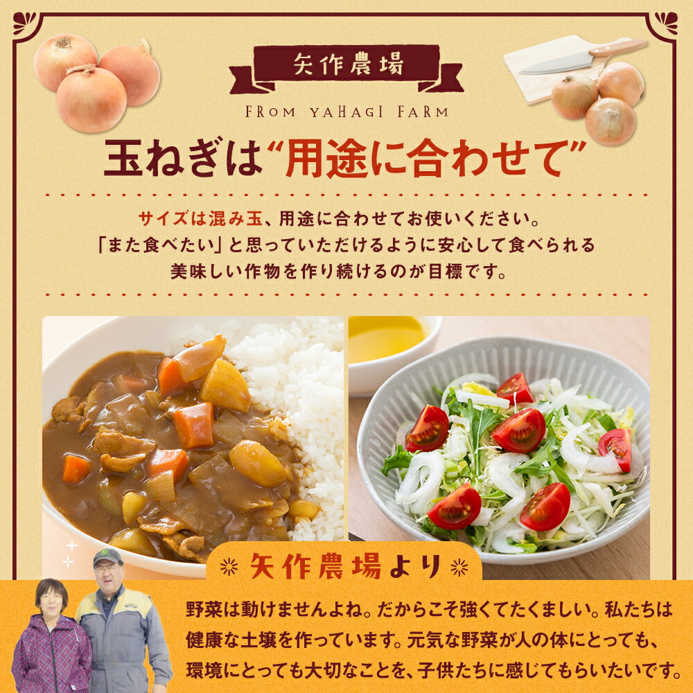 【ふるさと納税】【先行受付】令和8年産 有機栽培玉ねぎ 20kg | 玉ねぎ たまねぎ タマネギ 玉葱 大容量 オニオン 甘い 有機栽培 国産 産地直送 カレー ハンバーグ 煮込み 炒め物 北海道 津別町 送料無料 - 画像3