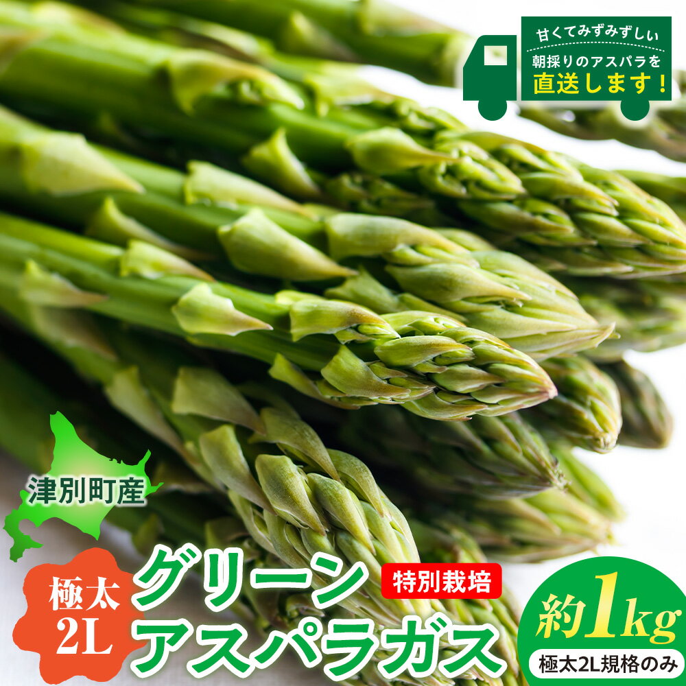 令和8年産 アスパラガス（極太2L） 約1kg 特別栽培 細川農園 | グリーンアスパラ グリーンアスパラガス アスパラ 極太2L規格 野菜 春野菜 朝採れ 新鮮 極太 サラダ 天ぷら 炒め物 旬 特産 産地直送 北海道 津別町 送料無料