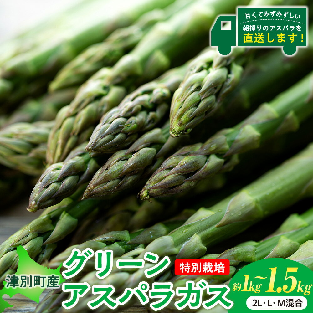 令和8年産 アスパラガス 約1kg〜1.5kg 特別栽培 細川農園 | グリーンアスパラ グリーンアスパラガス アスパラ 野菜 春野菜 朝採れ 新鮮 極太 サラダ 天ぷら 炒め物 旬 特産 産地直送 北海道 津別町 送料無料