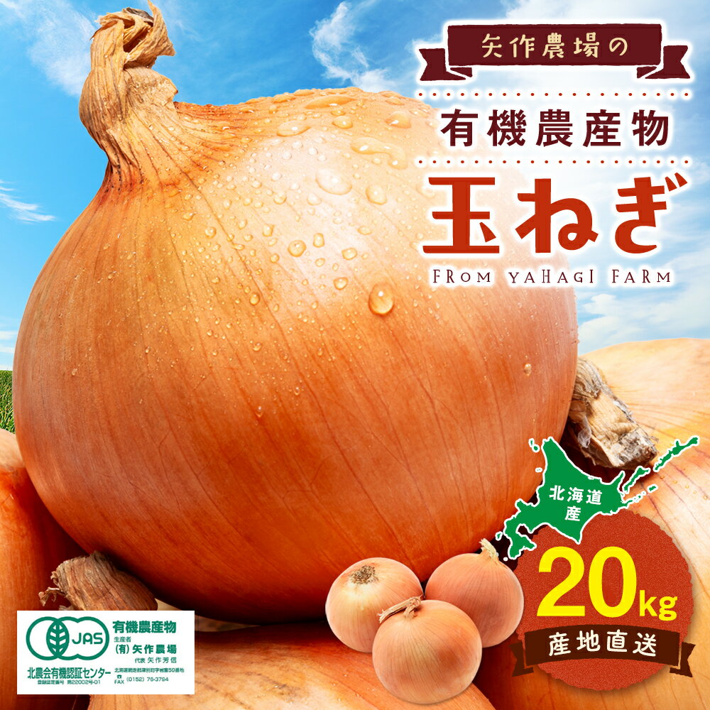【先行受付】令和8年産 有機栽培玉ねぎ 20kg | 玉ねぎ たまねぎ タマネギ 玉葱 大容量 オニオン 甘い 有機栽培 国産 産地直送 カレー ハンバーグ 煮込み 炒め物 北海道 津別町 送料無料
