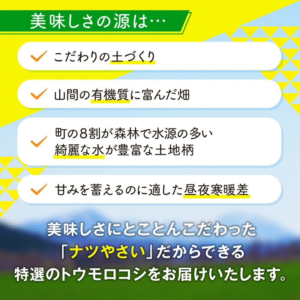 【ふるさと納税】【令和8年早期受付】8月の旬 トウモロコシ 5〜12本 ピンクの八百屋〜ナツやさい〜 | とうもろこし トウモロコシ ゴールドラッシュ 旬 新鮮 野菜 夏 甘い 産地直送 北海道 津別町 送料無料 - 画像3