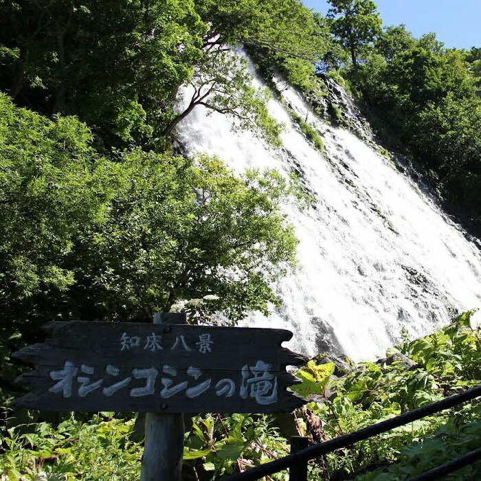【ふるさと納税】北海道斜里町の対象施設で使える楽天トラベルクーポン　寄付額50,000円 サムネイル3