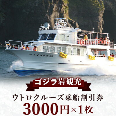 ゴジラ岩観光【ウトロ港発着クルーズ乗船代金3000円割引券】【配送不可地域：離島・沖縄県】【1214314】