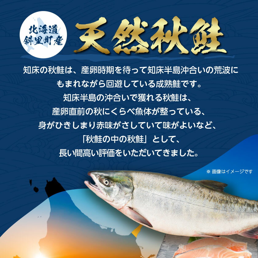 【ふるさと納税】【訳あり】北海道斜里町産　無塩天然秋鮭切身 2kg/3kg【無添加】【配送不可地域：離島・沖縄県】【G1507541】 サムネイル2