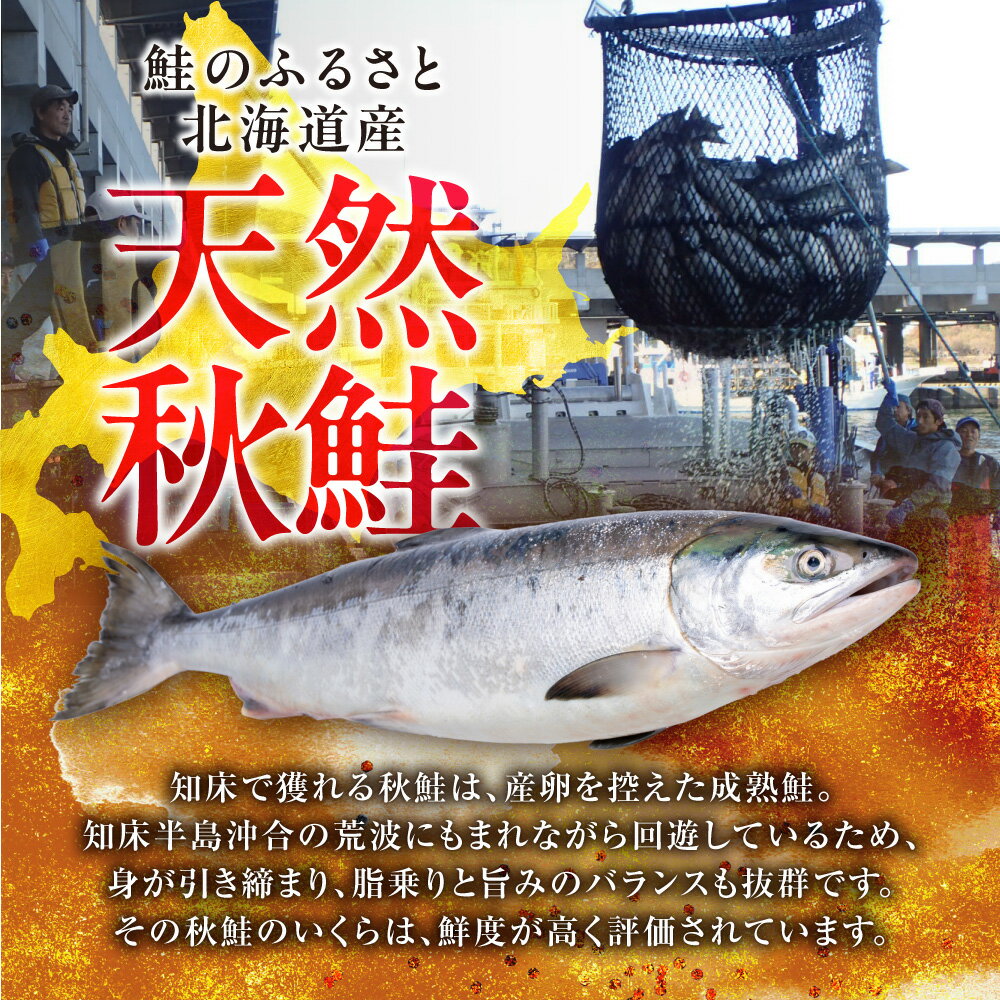 【ふるさと納税】北海道産　鮭いくら正油漬【選べる容量】300g 500g イクラ いくら いくら醤油漬け イクラ醤油漬け 鮭いくら さけ サケ 小分け 海鮮 魚卵 北海道 斜里町 人気 ふるさと 【配送不可地域：離島・沖縄県】 - 画像3