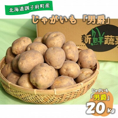 【先行予約　9月中旬以降発送】佐藤農場のじゃがいも「男爵」20kg【配送不可地域：離島・沖縄県】【1097715】