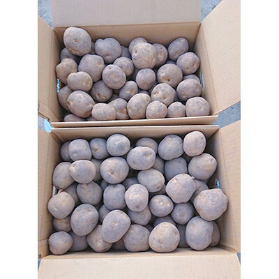 【ふるさと納税】【先行予約　9月中旬以降発送】佐藤農場のじゃがいも「男爵」20kg【配送不可地域：離島・沖縄県】【1097715】 - 画像3