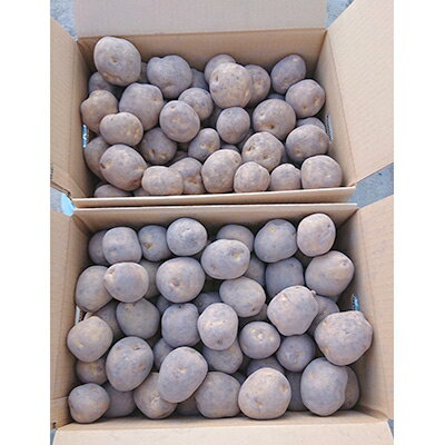 【ふるさと納税】【先行予約　9月中旬以降発送】佐藤農場のじゃがいも「とうや」20kg【配送不可地域：離島・沖縄県】【1097716】 - 画像3