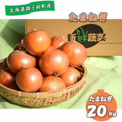 【先行予約　9月中旬以降発送】佐藤農場の玉葱20kg【配送不可地域：離島・沖縄県】【1097717】