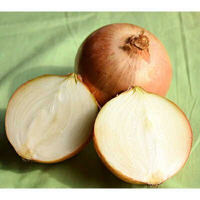 【ふるさと納税】【先行予約　9月中旬以降発送】佐藤農場の玉葱20kg【配送不可地域：離島・沖縄県】【1097717】 - 画像2