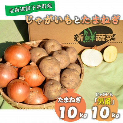 【先行予約　9月中旬以降発送】佐藤農場のじゃがいも「男爵」10kgと玉葱10kgセット【配送不可地域：離島・沖縄県】【1097718】
