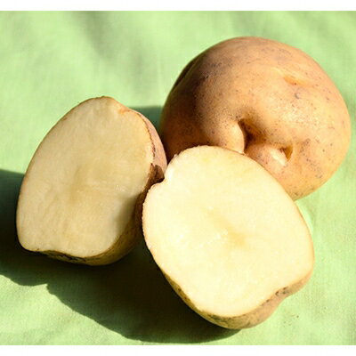 【ふるさと納税】【先行予約　9月中旬以降発送】佐藤農場のじゃがいも「男爵」10kgと玉葱10kgセット【配送不可地域：離島・沖縄県】【1097718】 - 画像2