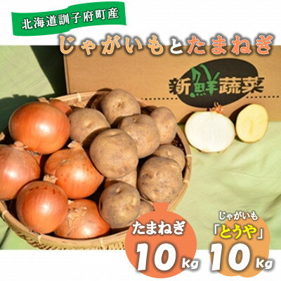 佐藤農場のじゃがいも「とうや」10kgと玉葱10kgセット【配送不可地域：離島・沖縄県】【1097719】