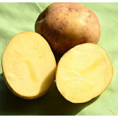 【ふるさと納税】佐藤農場のじゃがいも「とうや」10kgと玉葱10kgセット【配送不可地域：離島・沖縄県】【1097719】 サムネイル2