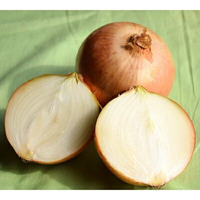 【ふるさと納税】佐藤農場のじゃがいも「とうや」10kgと玉葱10kgセット【配送不可地域：離島・沖縄県】【1097719】 サムネイル3