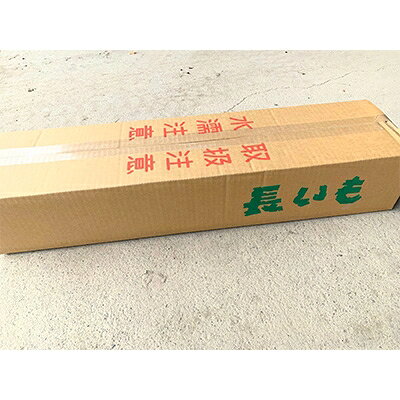 【ふるさと納税】佐藤農場の長芋＜5kg＞【配送不可地域：離島・沖縄県】【1098781】 - 画像3