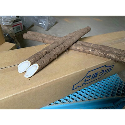 佐藤農場のごぼう＜10kg＞【配送不可地域：離島・沖縄県】【1098782】