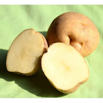 【ふるさと納税】【先行予約　9月中旬以降発送】佐藤農場のじゃがいも「男爵」10kg【配送不可地域：離島・沖縄県】【1414642】 - 画像2