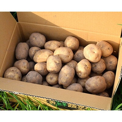 【ふるさと納税】【先行予約　9月中旬以降発送】佐藤農場のじゃがいも「男爵」10kg【配送不可地域：離島・沖縄県】【1414642】 - 画像3