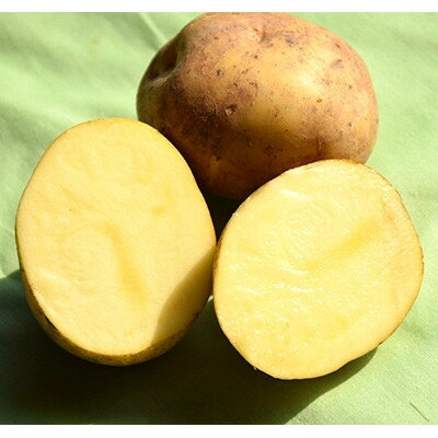 【ふるさと納税】【先行予約　9月中旬以降発送】佐藤農場のじゃがいも「とうや」10kg【配送不可地域：離島・沖縄県】【1414643】 - 画像2